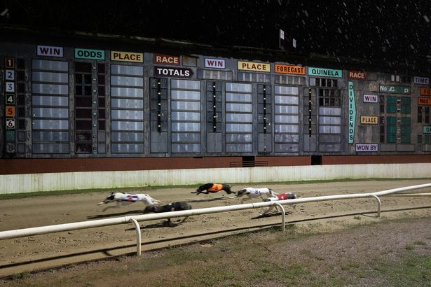 belle_vue_greyhound_stadium_manchester