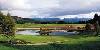Image of Local Golf