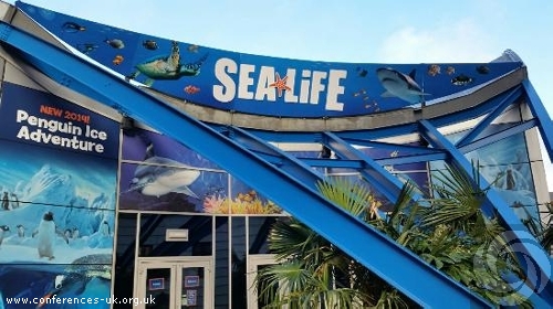 the_national_sea_life_centre_birmingham