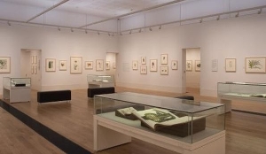 the_shirley_sherwood_gallery