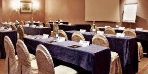 millennium_hotel_paris_charles_de_gaulle